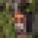  ,   Ը, 37 ,   ,   
