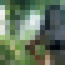 ���������� ������, ���� ������� ������, 33 ����, ������������ ��� ������, ����� � ���������, c�������� ���������, ���������