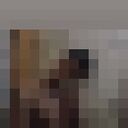 ���������� ������ ��������, ���� ������� �������, 27 ���, ������������ ��� ������, ����� � ���������