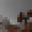 ���������� ������, ���� ������� �����, 21 ���, ������������ ��� ������, ����� � ���������, c�������� ���������, ���������