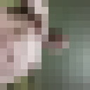  ,   , 47 ,   