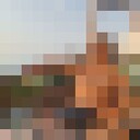 ���������� �������, ���� ������� ������, 35 ���, ������������ ��� ������, ����� � ���������