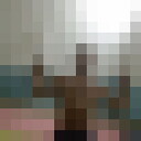  -,   , 33 ,   , c 