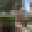  ,   Wowa, 40 ,   ,   