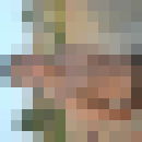  ,   Nikolaji, 32 ,   
