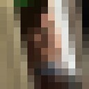 ���������� ����, ���� ������� ���������, 28 ���, ������������ ��� ������, ����� � ���������, c�������� ���������, ���������