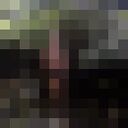  ,    , 44 ,   ,   , c 