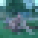  ,   Wolf, 46 ,   ,   , c 