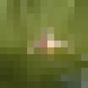 ���������� �����������, ���� ������� ��������, 44 ����, ������������ ��� ������, ����� � ���������, c�������� ���������