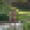 ���������� ����������, ���� ������� �����, 34 ����, ������������ ��� ������, ����� � ���������