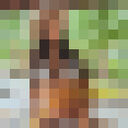 ���������� Furiani, ���� ������� Anissa, 26 ���, ������������ ��� ������, ����� � ���������