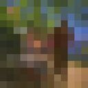 ���������� ���������, ���� ������� ���������, 27 ���, ������������ ��� ������, ����� � ���������