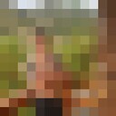 ���������� ���������, ���� ������� ����, 34 ����, ������������ ��� ������, ����� � ���������