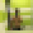  ,   , 21 ,     , 