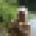  ,   , 63 ,   