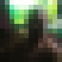 ���������� ����, ���� ������� ������, 44 ����, ������������ ��� ������, ����� � ���������