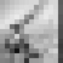 ���������� �����-���������, ���� ������� ����, 28 ���, ������������ ��� ������, ����� � ���������