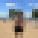 ���������� �����, ���� ������� ����, 31 ���, ������������ ��� ������, ����� � ���������