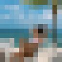  ,   , 29 ,     , c , 
