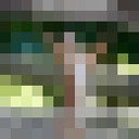  ,   , 39 ,     , c 