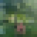  -,    , 40 ,   ,   