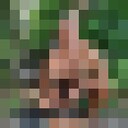 ���������� ������, ���� ������� ������, 38 ���, ������������ ��� ������, ����� � ���������