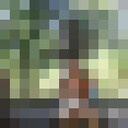 ,   , 64 ,     , c 