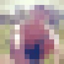 ���������� ������, ���� ������� �����, 34 ����, ������������ ��� ������, ����� � ���������, c�������� ���������