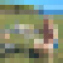  ,   , 55 ,   ,   