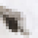 ���������� ������, ���� ������� ����, 44 ����, ������������ ��� ������