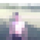  --,   , 41 ,   