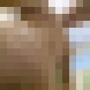  ,   s, 38 ,     , c , 