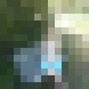 ���������� ���������, ���� ������� ���������, 24 ����, ������������ ��� ������, ����� � ���������, c�������� ���������