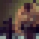  ,   Amstel, 31 ,   ,   , 