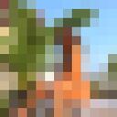 ���������� �����-���������, ���� ������� �����, 24 ����, ������������ ��� ������, ����� � ���������