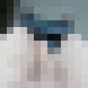  ,   Temo, 43 ,   ,   , c 