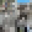  ,   VII, 34 ,   ,   , c , 