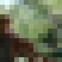 ���������� �����-���������, ���� ������� ��������, 37 ���, ������������ ��� ������, ����� � ���������, c�������� ���������, ���������