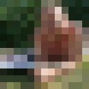 ,   Dima, 54 ,   ,   , c 