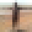  -,   , 48 ,   ,   , c 