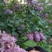  ,   , 60 ,   ,   , c 