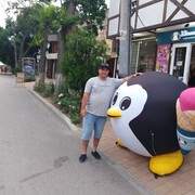  ,   , 37 ,     , c , 