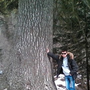 ���������� ����������, ���� ������� �����, 37 ���, ������������ ��� ������, ����� � ���������, c�������� ���������