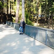 ���������� �����, ���� ������� ����, 40 ���, ������������ ��� c�������� ���������, ���������