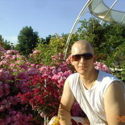  ,   , 40 ,   