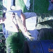  -,   , 52 ,   