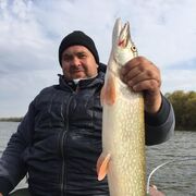 ���������� ������, ���� ������� ���������, 46 ���, ������������ ��� ������, ����� � ���������