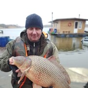  ,   , 55 ,   ,   
