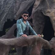  ,   ADAM, 31 ,     