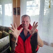 ���������� ��������, ���� ������� ������, 68 ���, ������������ ��� c�������� ���������